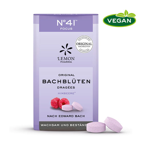 BACHBLÜTEN No.41 Konzentration Dragees n.Dr.Bach